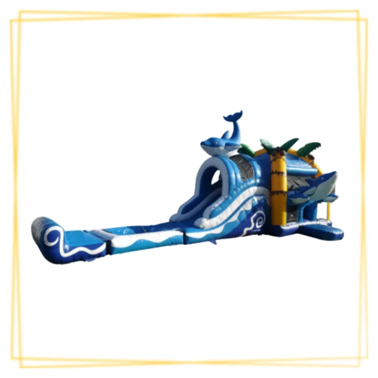 toboggan aquatique dauphin gonflable